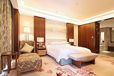 《堡垒：空战猎鹰编年史》新预告 2024年发售